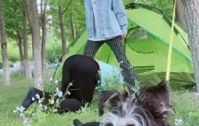 【美离子】户外营地训练场调教