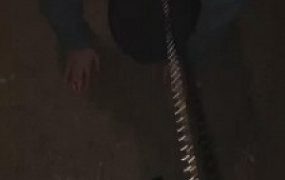 【瑶sama】户外遛狗-浓痰/跪拜/耳光