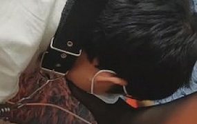 【迷离】狗笼里的悲惨生活