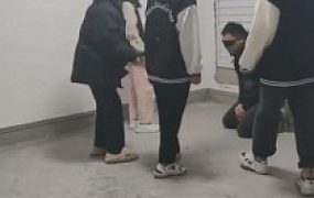 【最抗揍】五素人姐姐暴力打抗揍狗