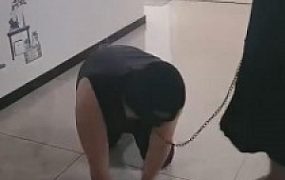 【燃一】生活化的狗奴家奴