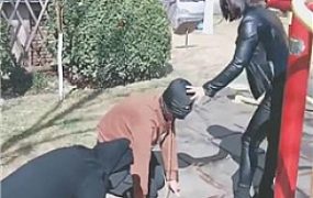 【羽诺】户外遛狗   JS2203153