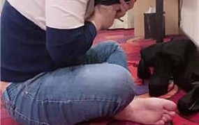 【虞姬】偷原味的小偷  JS22031703