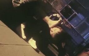 【雨晨】看女友户外调狗