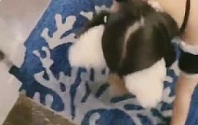 【维尼】小三母狗成女奴