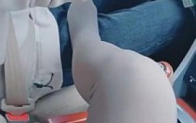 【扶摇小主】滴滴打车遇上狗