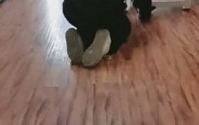 【羽珊】带着狗子做美甲