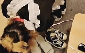 【女攻驾到】女仆装日常犯贱