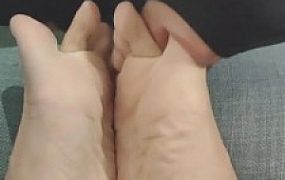 【芒果】舔脚舔的非常投入的狗