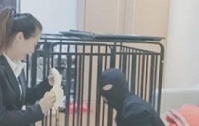 【依然】圈养的第一天