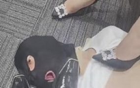 【双子姬】精彩刺激纪录片-带狗来公司玩玩