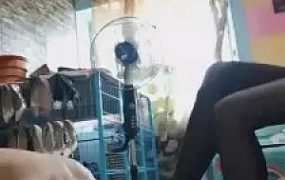 【杭州玩物】运动鞋白袜狠虐狗 G-210710-16