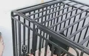 【上官婉儿】圈养畜生-吃咀嚼物维持生命 G-210712-13