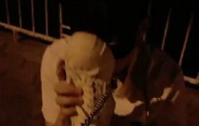 【Richa】户外闻舔脏鞋臭脚