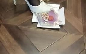 【沐阳大小姐】踩踏喂食狗奴专场