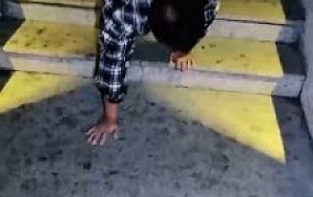 【温莎】深夜户外溜废狗