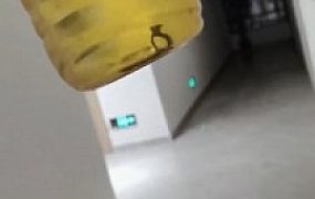 【药神】强制老板闻臭袜专场