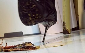 【婧児小主】晓G全语言GTS Crush双靴虐杀小奴隶们戏谑嘲笑把龙虾踩成肉酱 YC-220523-7