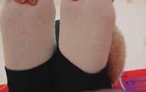 狗狗给女主暖脚