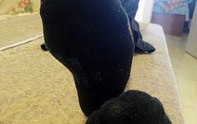 【颜面破坏】