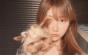 美女家教的惩戒