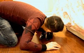 〖H.P.L栖心之栈〗—保姆翻身做主人