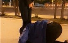 vivi-户外惊险遛狗过马路