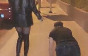 【VIVI】超刺激！午夜遛人形犬