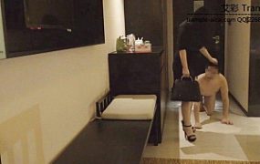 小刚流浪记第10集 变成了深圳贵族公主的狗 上集