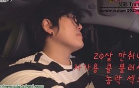 HAN-193 车里偷舔美女原味脚被发现后。