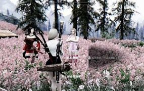 特朗普 你也有今天？ 踩到你灯枯油尽