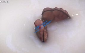 【推荐】性感女神浴缸黑丝美足POV调教