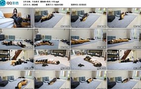 【半岛束艺】置换熊~西玛 卡菲