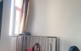 套路直播视频【萝莉刑】狗笼里的母畜