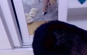 套路直播视频【微笑S】私奴伺候舔脚