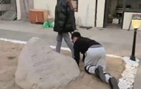 套路直播视频【宸宸】做御姐的圈养家奴【三】