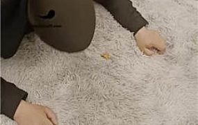 套路直播视频【囡囡S】吃炸鸡调教贱狗  JS23030110