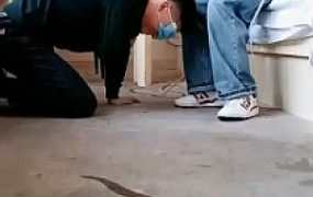 套路直播视频【小妍S】学生S-藤条抽/鞋抽耳光/磕头求饶