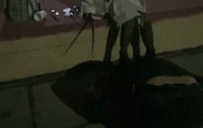 套路直播视频【居北】户外遇到偷拍狂虐成狗