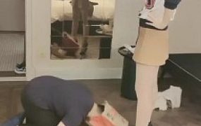 套路直播视频【聆彤】身高差女主-高跟踩/骑马转胯/吃口水/臭脚捂脸