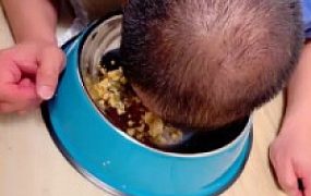 【安可S】圈养生活第四天-户外餐厅脚下喂食【双视角版】