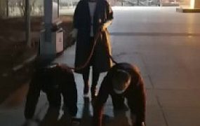 【冷御女王】高贵女王户外溜双狗奴