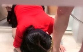 【丹祖宗】给双母畜的犬化训练