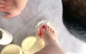 【佳佳】骑马遛狗/舔白富美的jio