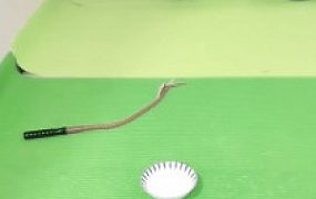 【美容院S】狗笼圈养手铐捆绑跪求圣水/转胯爬行 JS23051203