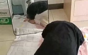 【小可可】开发可爱母畜-舔帆布鞋/头顶棉袜/闻原味/胯下辱