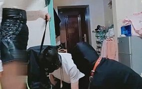 【冷酷爷】虐双狗-电蚊拍虐/黑丝高跟踩狗/舔脏鞋耳光