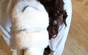 【小可可】母畜-毛拖鞋踩/骑脖子强制磕头/舔脏鞋底/捆绑转胯踩踏