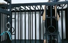 【媚娘】狗笼圈养绿帽狗/高跟踩虐舔 JS23061302