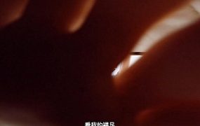 晓G肉丝袜脚跺脸裸足踩S后跺死sjPOV 全语言字幕版 YC-230616